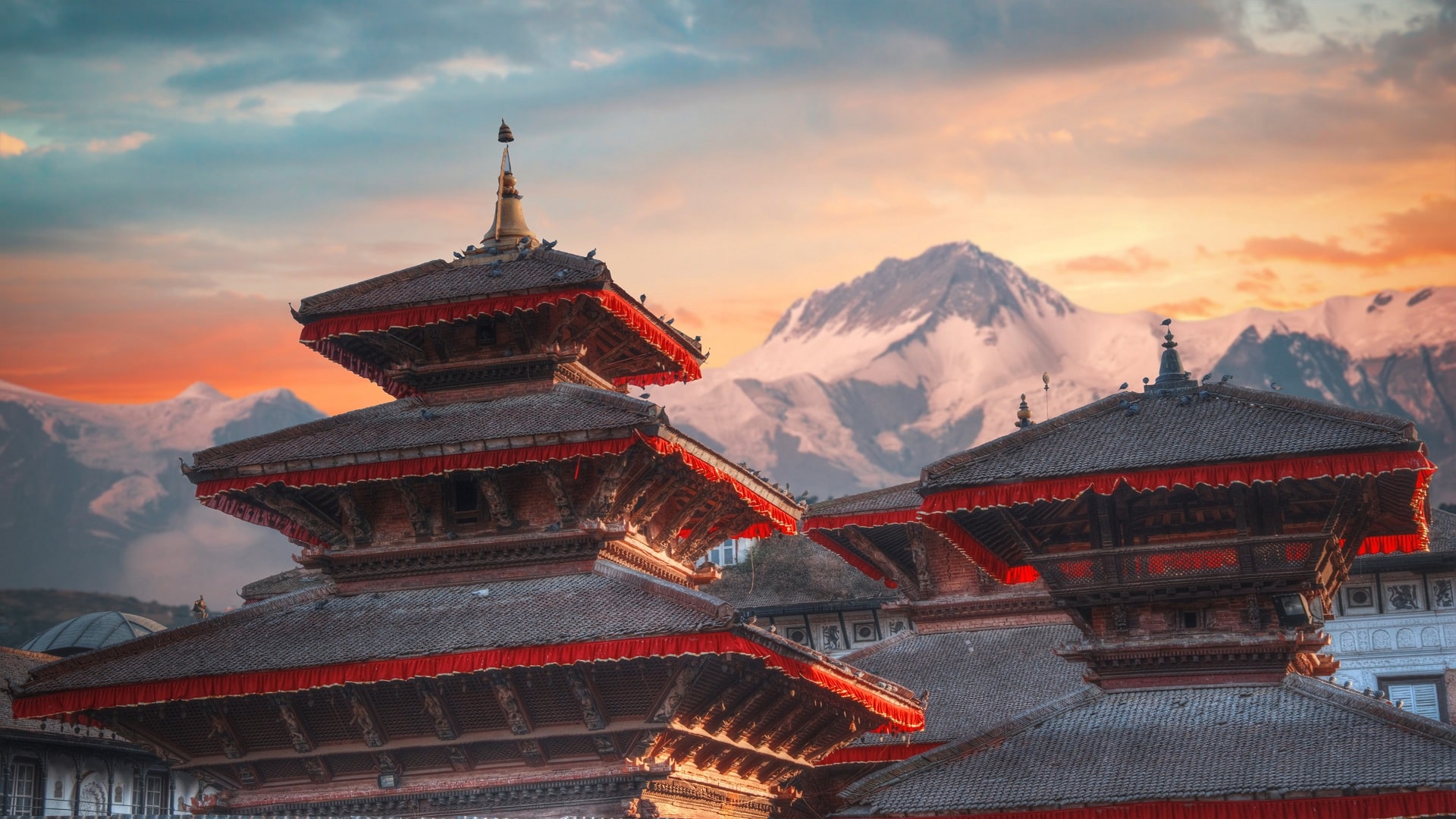 phân khu parasol - NEPAL